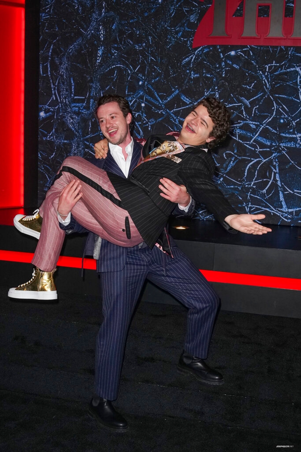 323.jpg