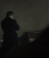 3717.jpg